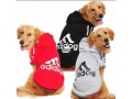 pet-clothes-small-2