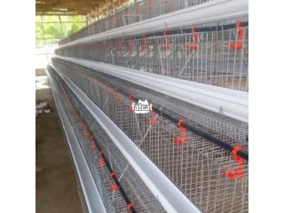 Poultry cage