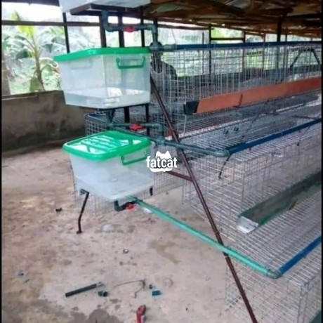 Classified Ads In Nigeria, Best Post Free Ads - poultry-cage-big-3