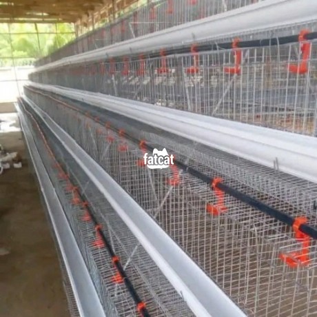 Classified Ads In Nigeria, Best Post Free Ads - poultry-cage-big-0