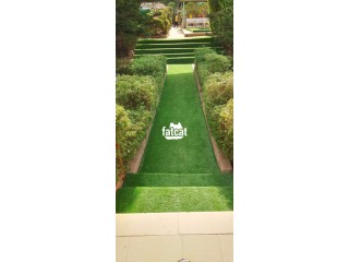 Synthetic Grass Carpet