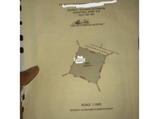 Residential plot of land with cofo 2,405 sqm