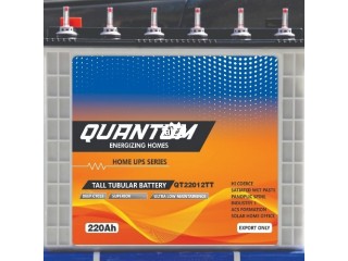 Quantum tall tubular battery